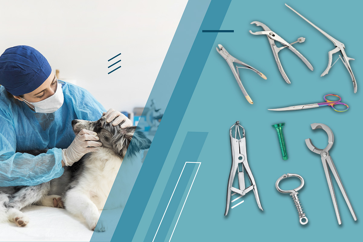 Stainless steel veterinary surgical instruments on a sterile tray